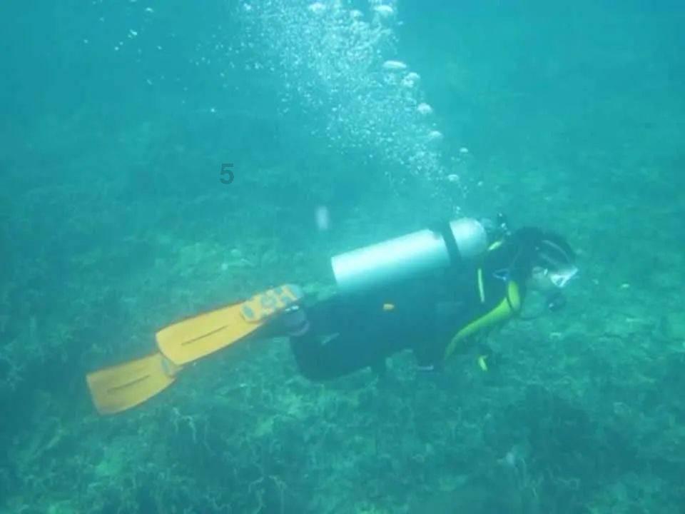 谈恋爱重要还是读书赚钱重要?-专注知识星球,打造学习交流平台