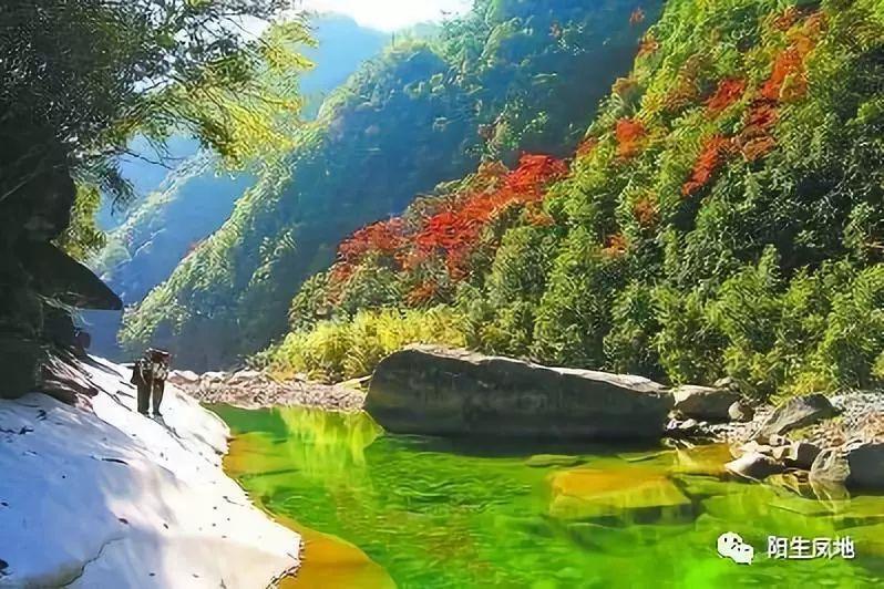 校校语文和数学平均分是93数学是95语文是多少分？- 专业问答平台，快速解答您的疑问